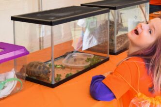 Girl wowed by exhibit