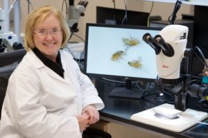 Trudy Mackay poses in her laboratory.