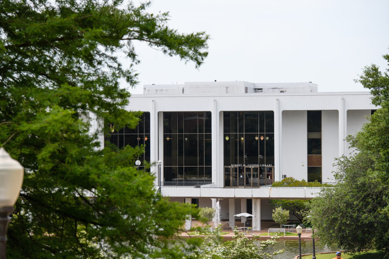 A large white building between large trees