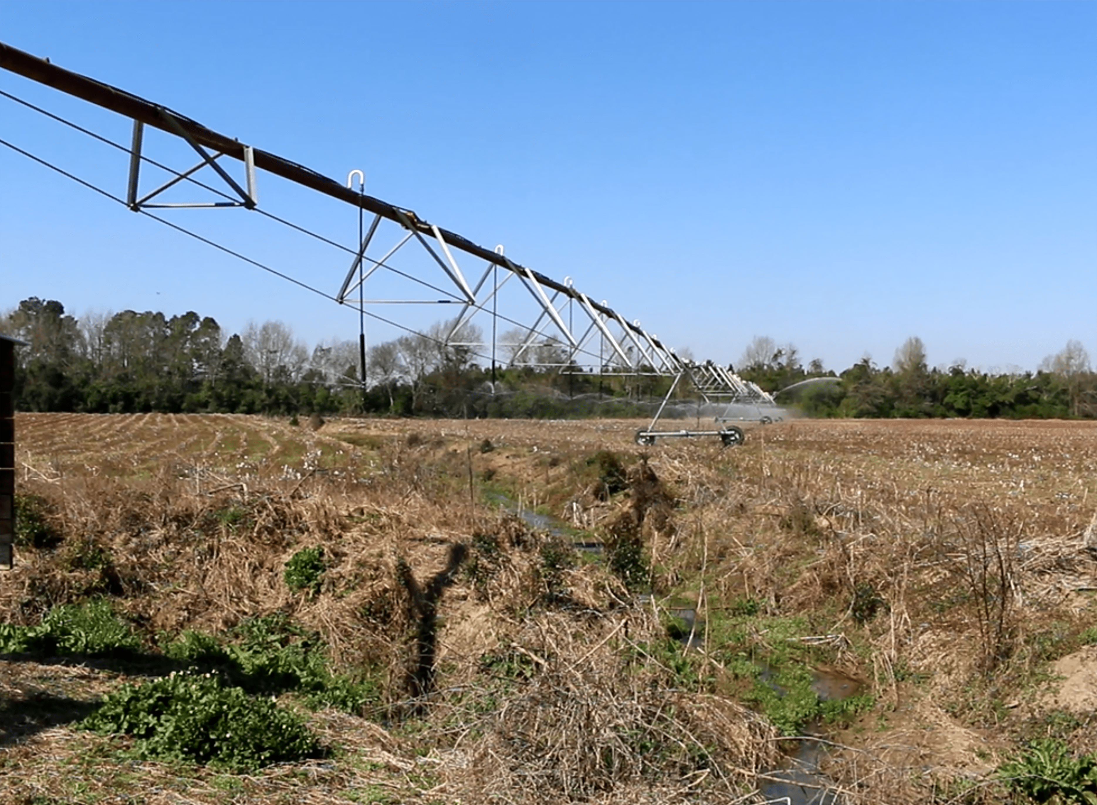 Clemson researchers have developed a new app farmers can use to optimize liquid fertilizers used to feed crops through irrigation systems.