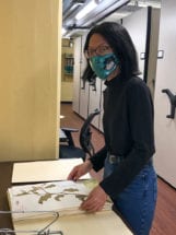 woman standing at desk looking at a dried flower