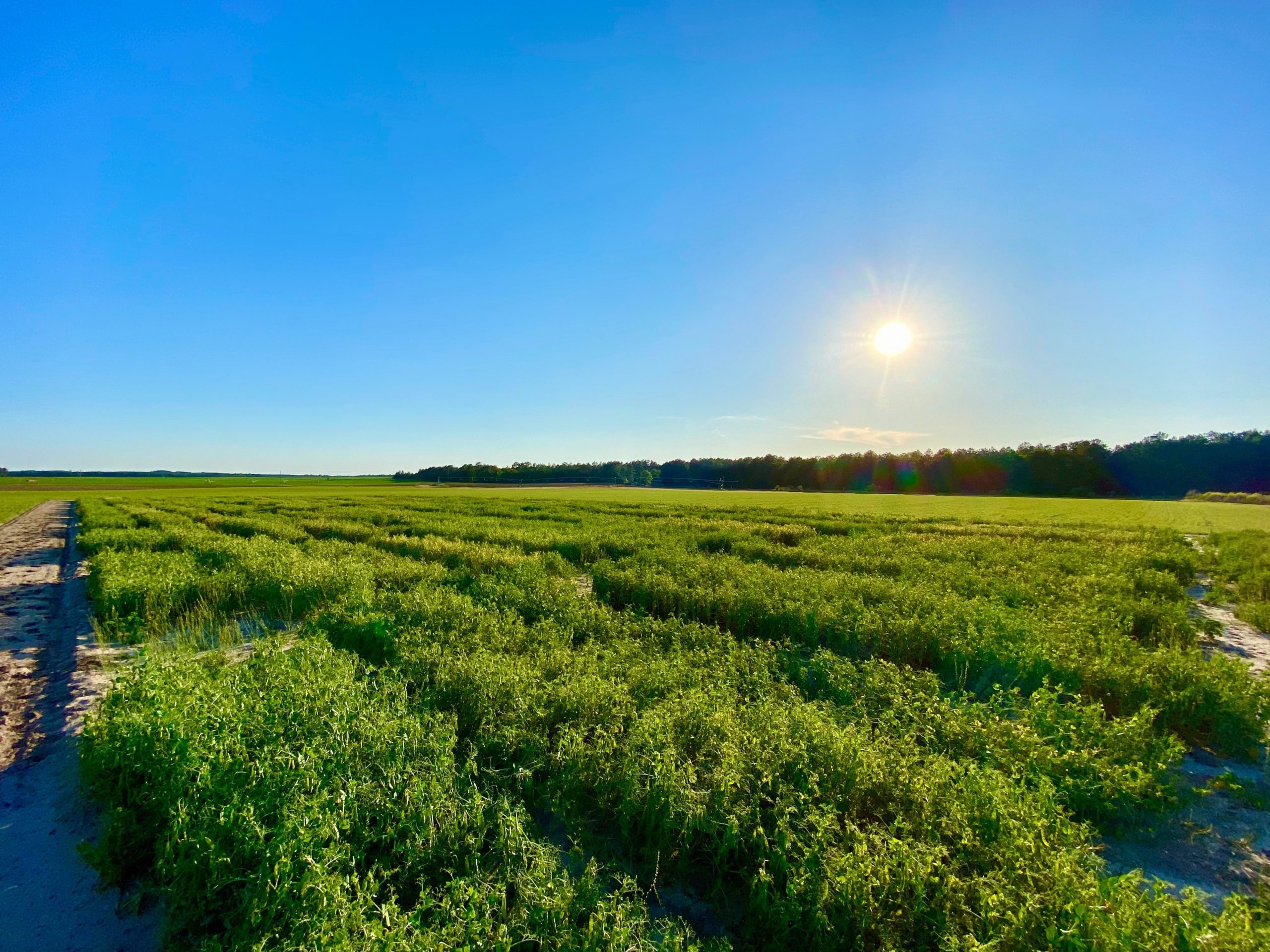 Brian Ward is developing a system that transforms leftover farm materials into eco-friendly fertilizer and renewable fuel.