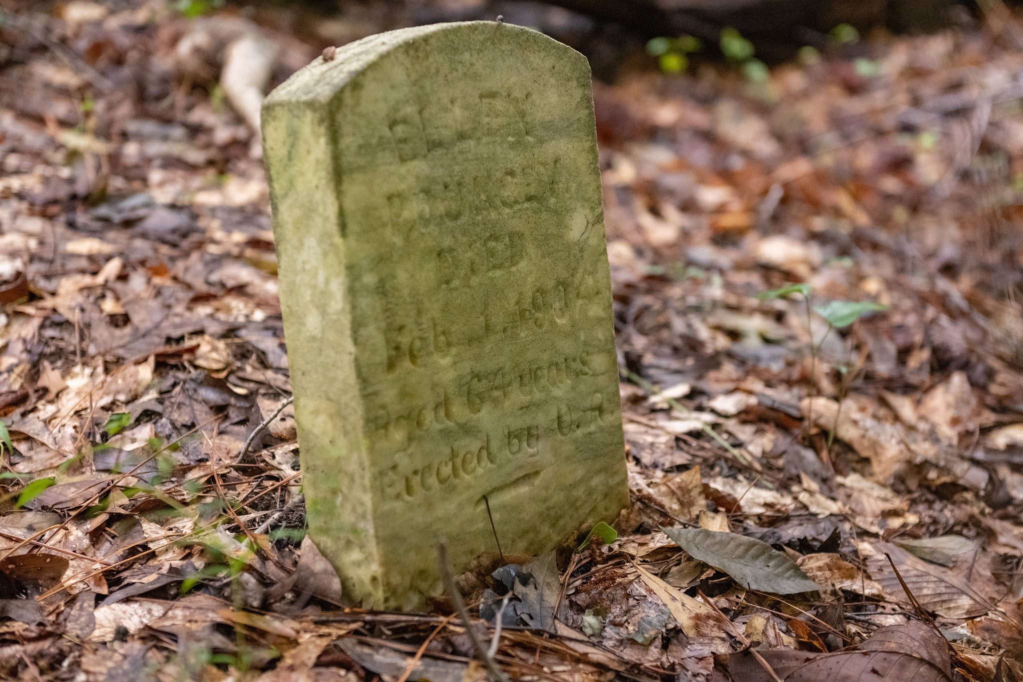 Gravestone located at Pee Dee REC.