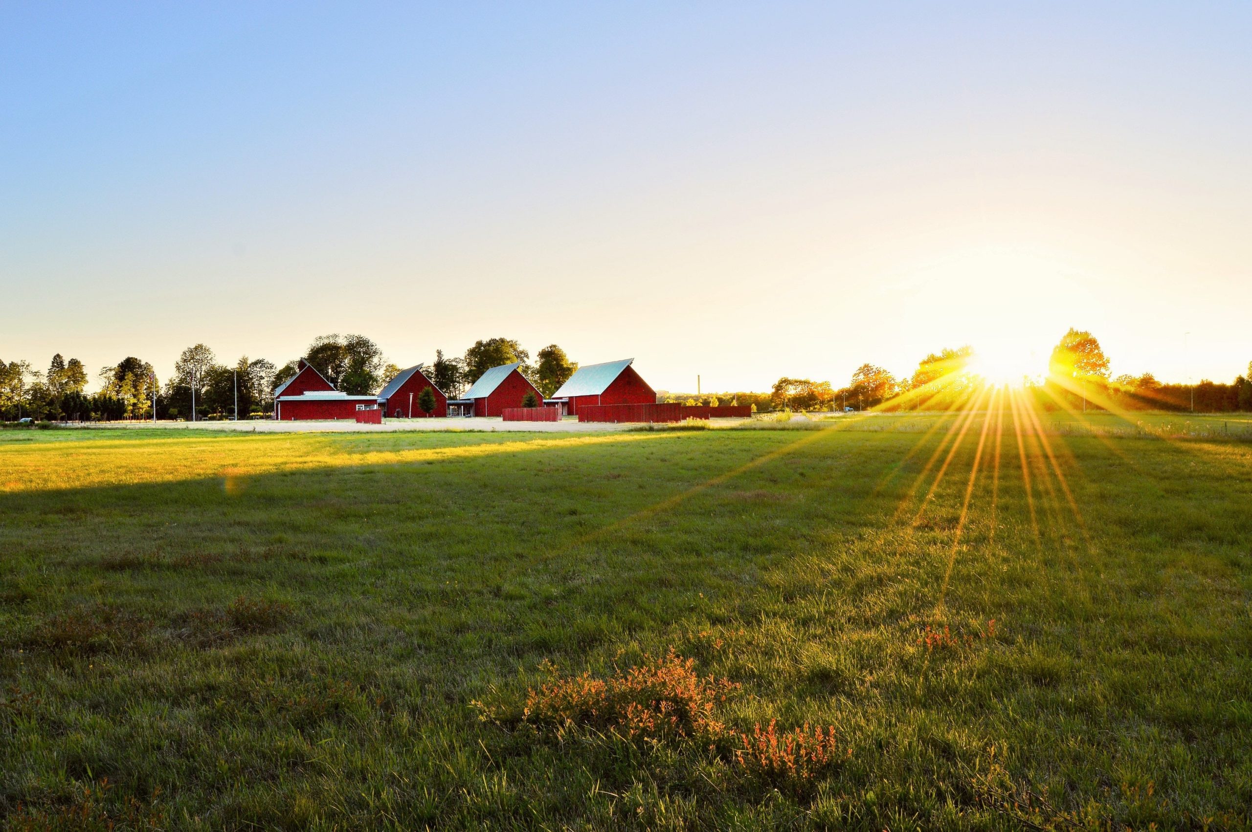 Farming Foundations is a free online course that teaches farmers knowledge they need to get their farms moving in the right direction.