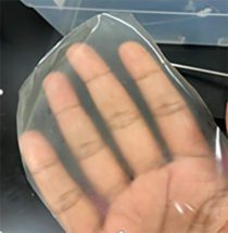 A transparent square of biodegradable film sits on a hand.