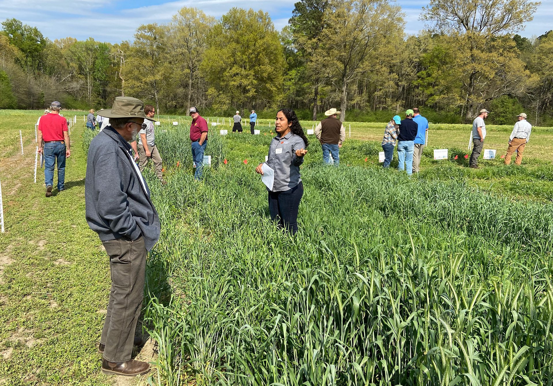 Liliane Silva, Clemson Extension forages specialist, talks about cool-season forage demo plots at the Edisto REC.