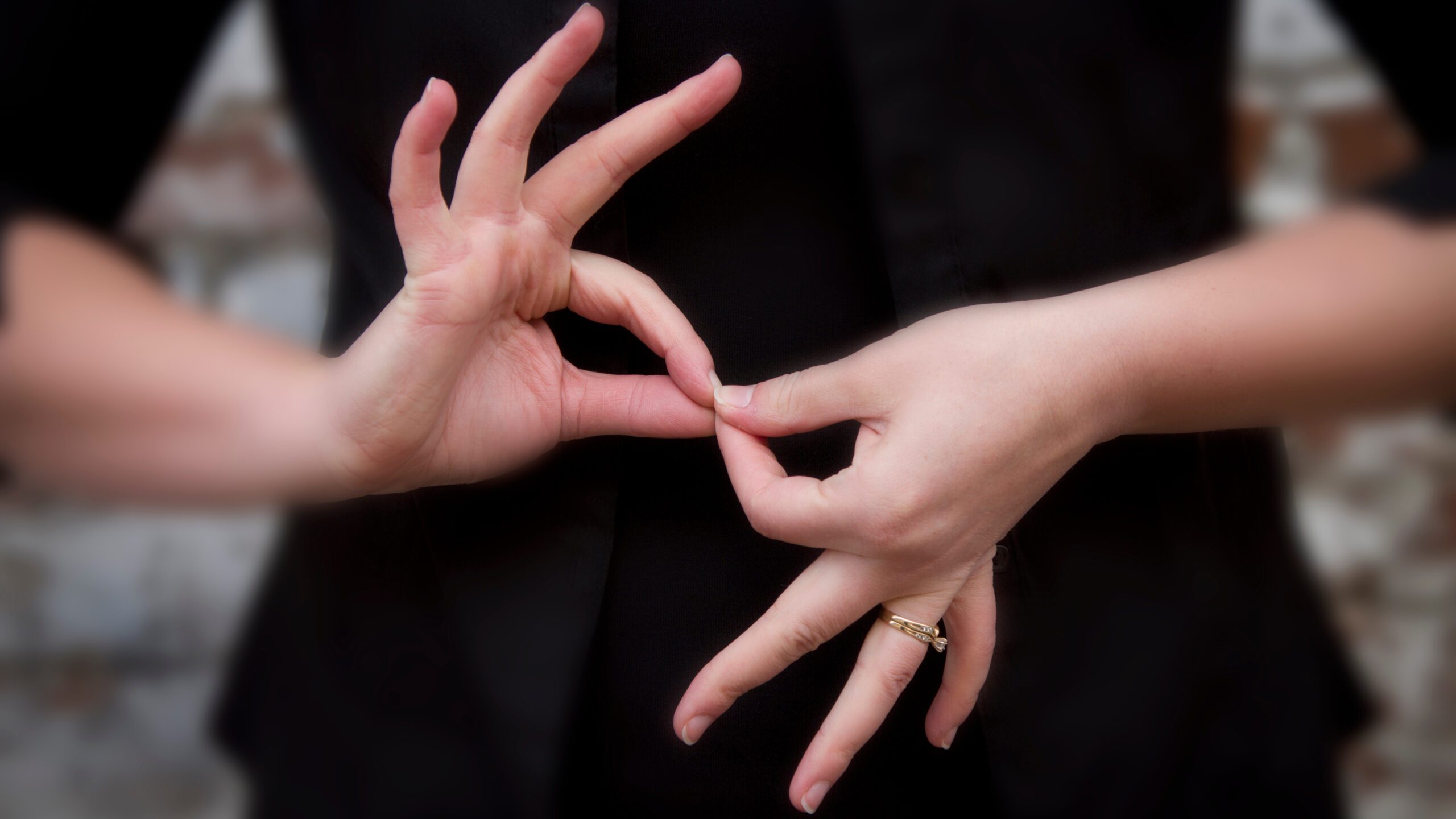 Sign Language Interpreter