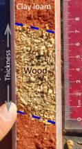 Core sample of wood after a field test.