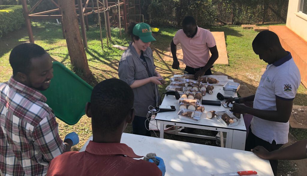Jenna Hershberger, Clemson vegetable breeding and genetics, and collaborators use portable spectrometers to analyze samples.