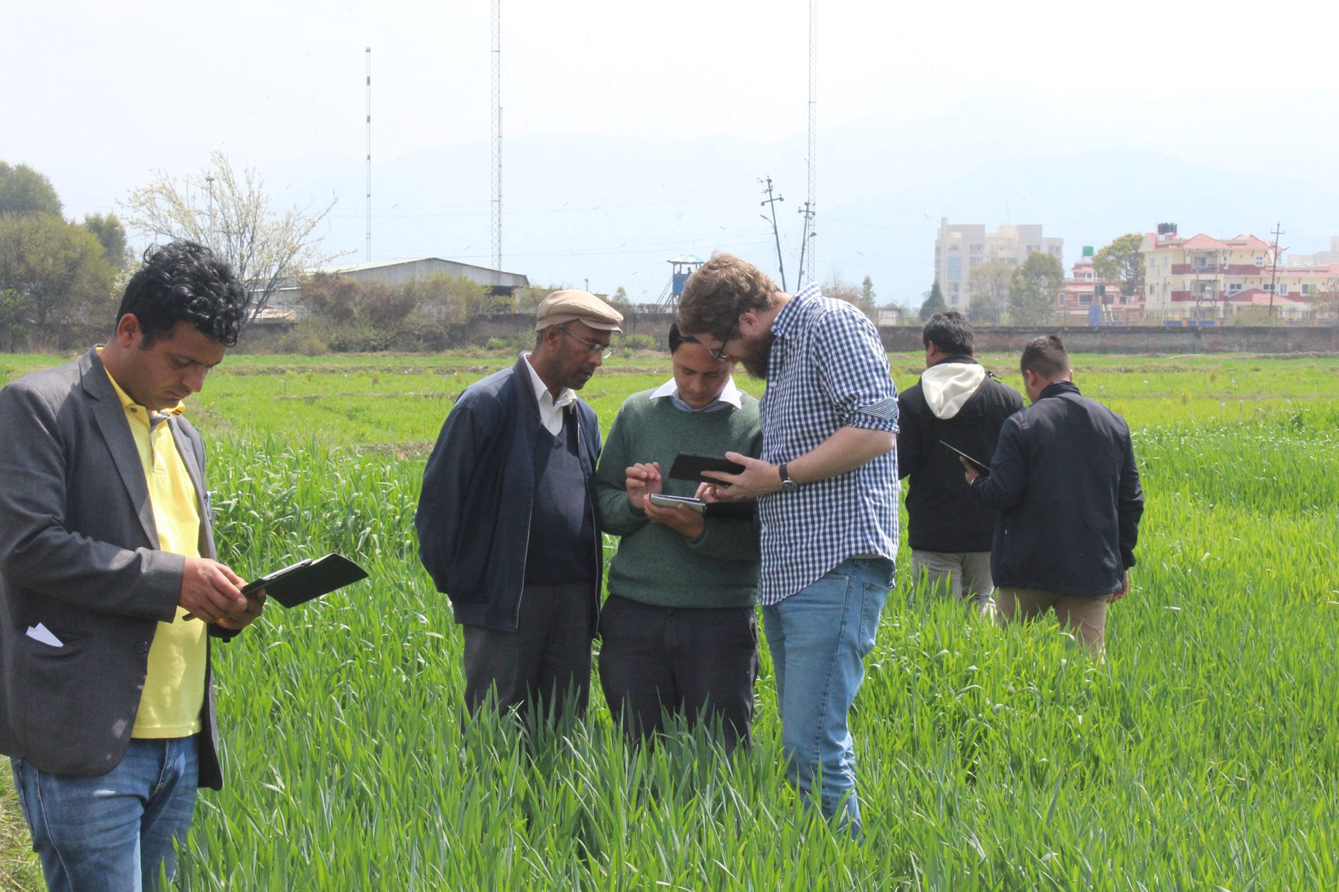 Clemson researcher Trevor Rife trains Nepal Farmers on how to use the PhenoApp to record field observations needed for phenotypic data.