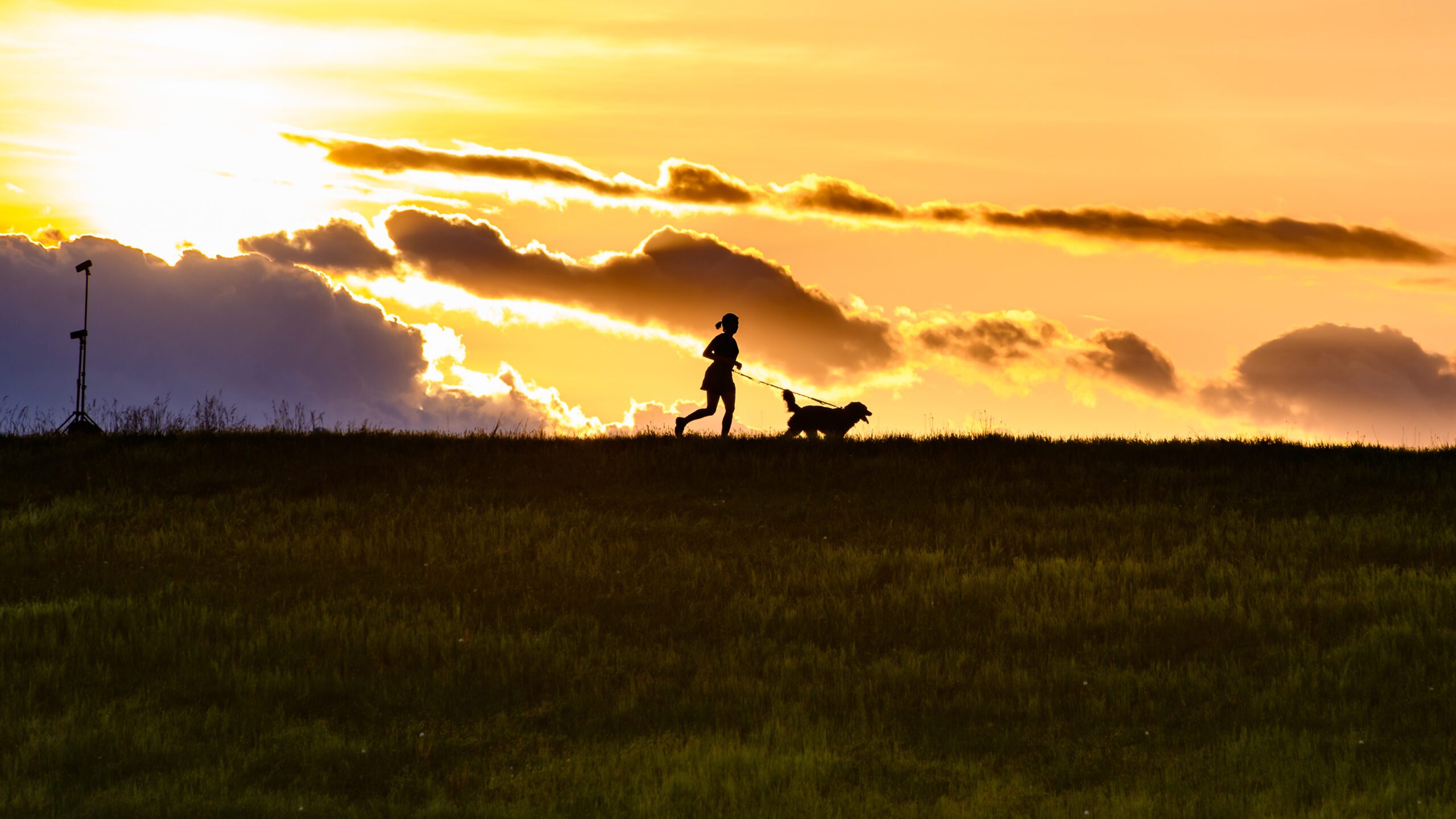 Handler walking a dog on the Clemson dike to Lake Hartwell