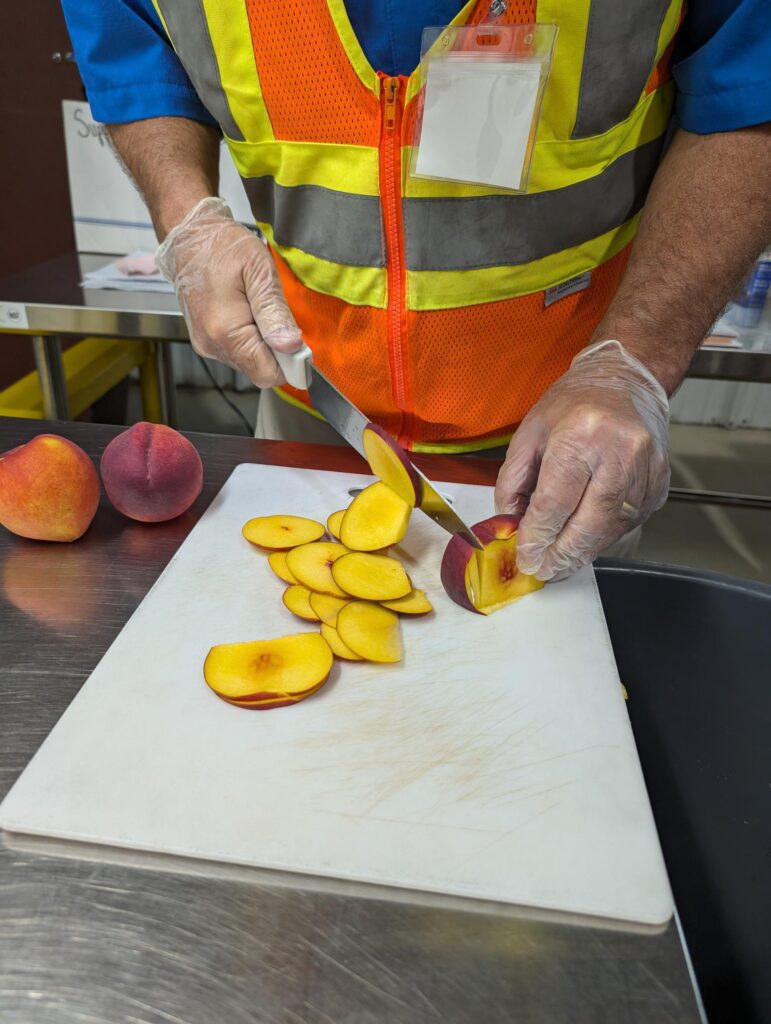 Clemson DPI slicing peaches to be sure they aren't infested with insects before export.