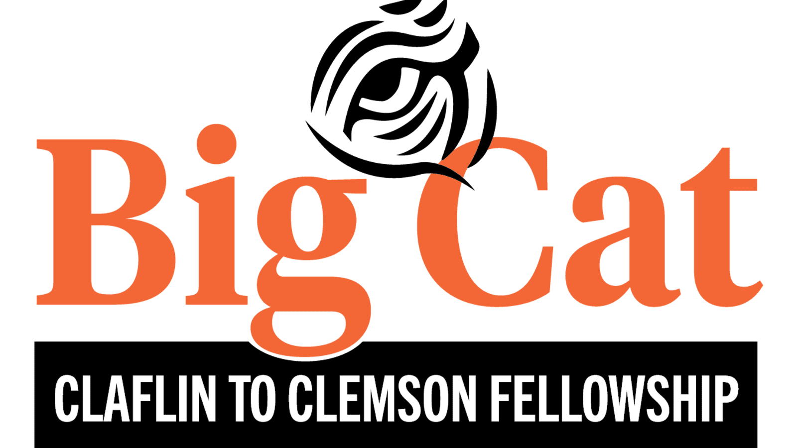 Big Cat Program Logo