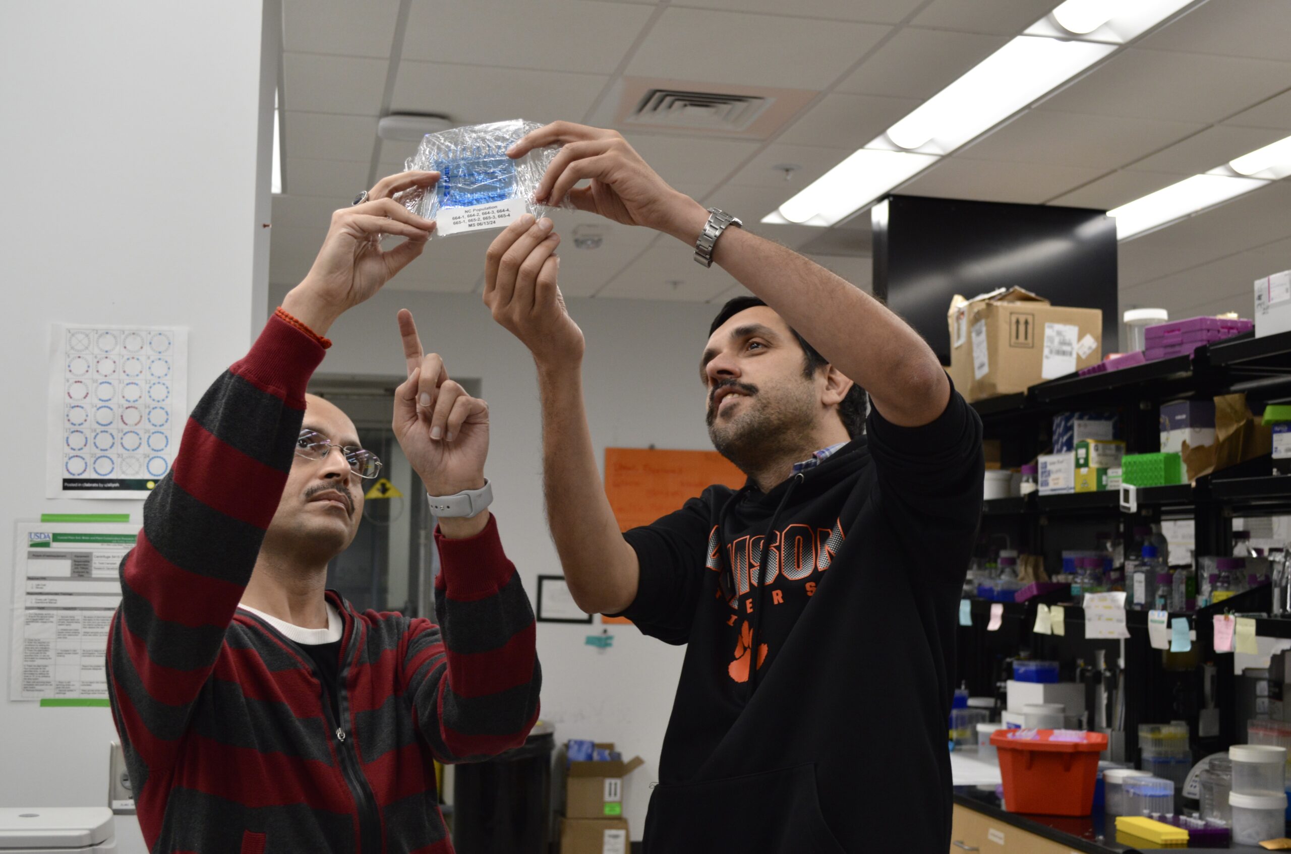 Sachin Rustgi and Guatam Saripalli use facilities at the Clemson Pee Dee REC in Florence, South Carolina, to compare gluten-free products to the gluten-containing counterparts.