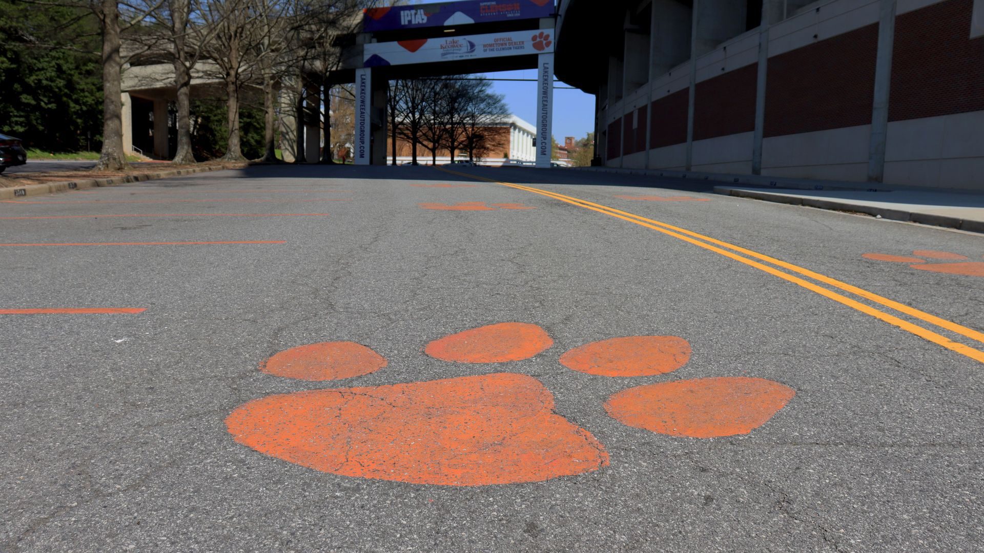 A painted Tiger Paw on the road.