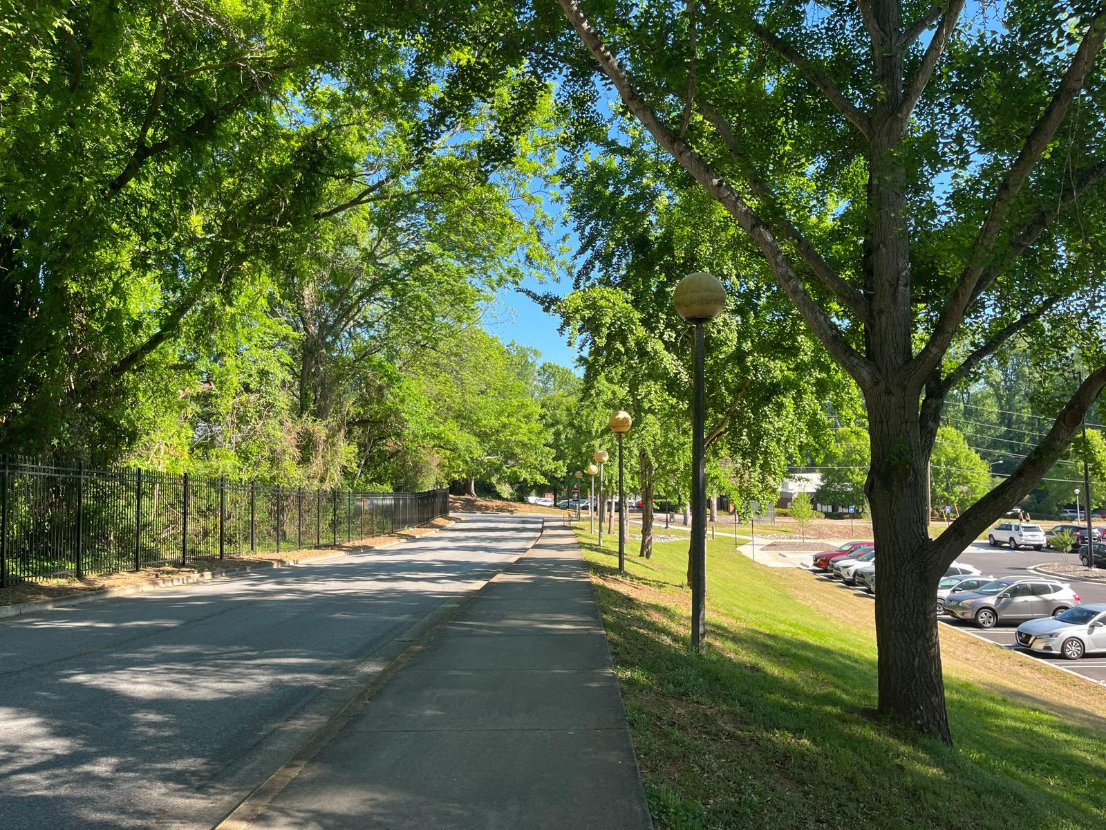 Clemson scientists believe increasing urban residents' interaction with healthy trees may help alleviate adult depression.