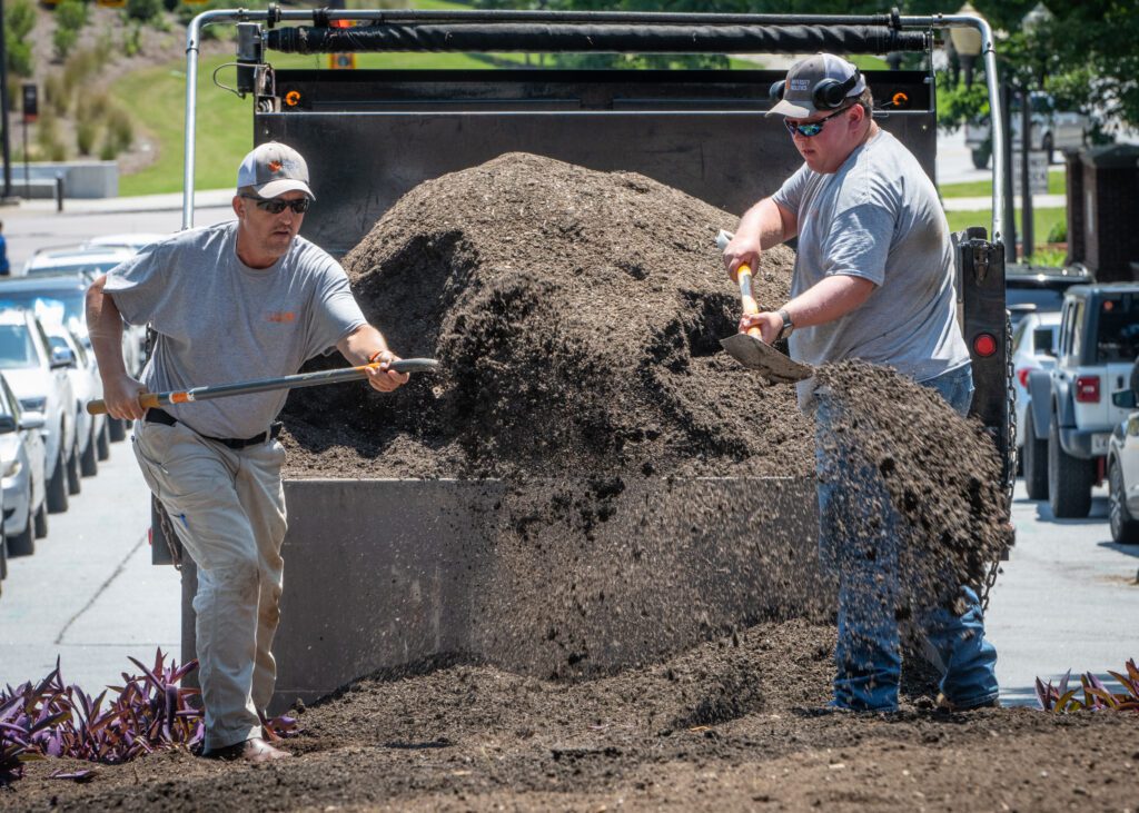 Two men shovel sod out of the back of a flatbed truck