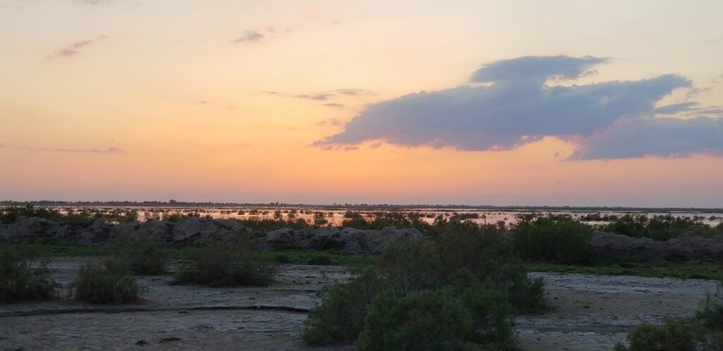 Looking west across the marshes from Lagash at dusk.
