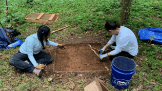 Archaeological field school