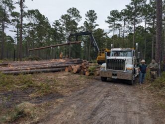 Crane stacking logs on logging truck in the forest.