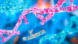 Artist rendering of DNA with a missing piece.